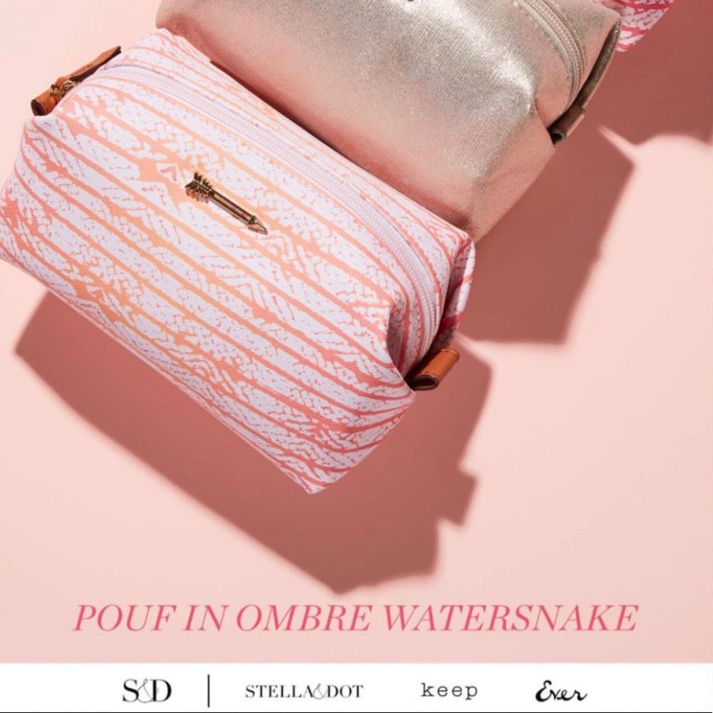 Stella & Dot Ombre Watersnake Pouf